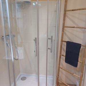 a shower with a glass door and a blue towel at Apt cosy dans maison de charme in La Rochelle +7 photos