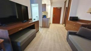 a living room with a couch and a flat screen tv at Drazdiak House Antolska Lake View in Bratislava +5 photos