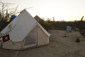 a white tent sitting in the middle of a field at Eco Glamping Biosfera - Bahia Turquesa in La Ventana