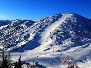 埃本塞Ferienhaus TraunseeStrand的雪覆盖的山,上面有一个人