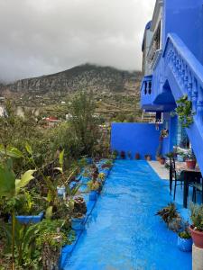 a blue walkway leading to a building with a mountain in the background at Casa laila in Chefchaouen