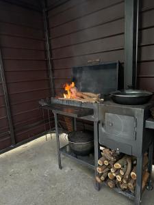 佩列亚斯拉夫-赫梅利尼茨基Будинок з сауною та чаном的上面有鸡的烤架