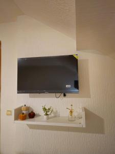 Μια τηλεόραση ή/και κέντρο ψυχαγωγίας στο Apartman ELLA