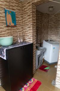 una cucina con lavello e lavatrice di Apto Pet Friendly c Estacionamento perto do Centro a Caxias do Sul