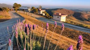 Příroda nedaleko rezortu