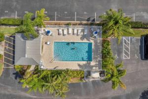 an overhead view of a swimming pool with palm trees at Captains Cove Unit 402 in Clearwater Beach