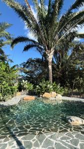 una piscina con una palmera al fondo en wellgaya ecovillas, en Villa Flor