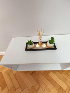 a white coffee table with plants on it at Apartament Aksamitny in Toruń