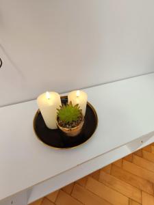 a table with two candles and a plant on it at Apartament Aksamitny in Toruń