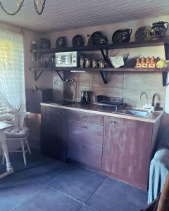 Η κουζίνα ή μικρή κουζίνα στο Menyecske Vendégház