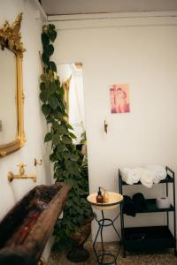 Billede fra billedgalleriet på Casa Cielo i Concepción