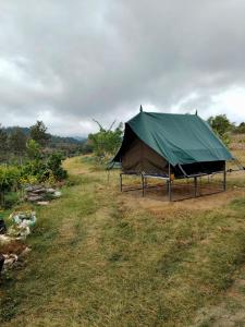 Φυσικό τοπίο κοντά σε αυτό το δωμάτιο σε οικογενειακή κατοικία