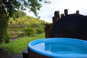 Tongariro Cottage - Hot Tub - Bring Your Dog! في Raurimu: حوض استحمام ساخن أزرق في الفناء الخلفي مع تلة