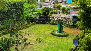 a garden with a green pole in the grass at Hidden Treasure in Nuwara Eliya