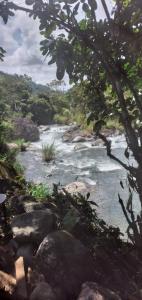 RivasにあるRustic two bedroom house right by the Chirripo riverの岩と木の流れ +4枚の写真