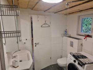 a bathroom with a toilet and a sink and a shower at Ferien- und Monteurwohnung Grünstadt-Worms in Obrigheim
