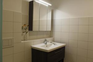 Un baño de Peterlhof-Pietling