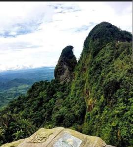 Sansalo的树木繁茂的山景
