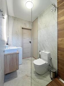 un bagno con un water e un lavandino di Poznań Wilda -Apartament Fabryczna a Poznań Altre 5 foto