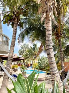 Πισίνα στο ή κοντά στο Oasis guesthouse, Boutique Style Hotel