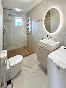 bagno con lavabo, servizi igienici e specchio di Poznań Wilda -Apartament Fabryczna a Poznań
