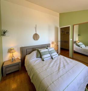 a bedroom with a large bed and a mirror at Villa piscine privée superbe Vue Etang Leucate 8JBART580 in Port Leucate