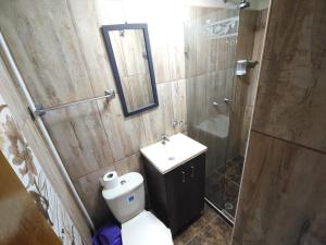 a bathroom with a toilet and a sink and a shower at Kumho in Medellín +22 photos