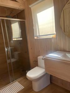 ein Badezimmer mit Toilette, Dusche und Waschbecken in der Unterkunft Alojamiento y Desayuno Privado De lujo C2 in El Cerrillo