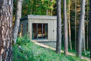 a small cabin in the woods with trees at Kolme Männi Kuubik in Otepää