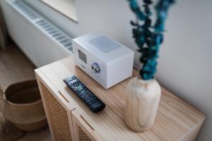 诺德奈Bismarck 1884 B6的边边边的遥控器和花瓶 更多12张照片