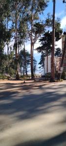 una strada con alberi sul lato della strada di Departamento en Condominio Bosques de El Tabo a El Tabo