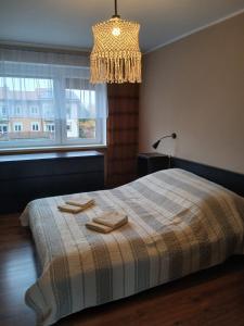 Ένα ή περισσότερα κρεβάτια σε δωμάτιο στο Apartament na Piętrze