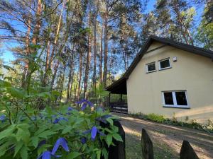 a house in the woods with purple flowers at Kurort Mirowice-domek w lesie, z balią z jacuzzi i hydromasażem in Mirowice