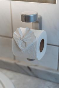 un dispensador de papel higiénico con un rollo de papel higiénico en Hotel Seepferdchen Zimmer 6 Eckernförde Self-Check-In, en Eckernförde