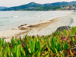 a view of the beach and the ocean at Notre paradis in Lumio