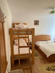 Ένα ή περισσότερα κρεβάτια σε δωμάτιο στο Pension Nicoleta