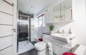um banheiro com pia, vaso sanitário e chuveiro em Hot Tub and Garden Spacious Unique 3 Bed House em Allesley mais 30 fotografias