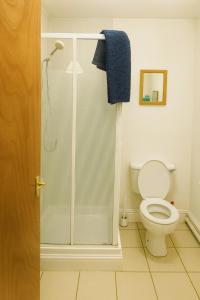 Un baño con inodoro y ducha de cristal. en Apartment in Russet Court, Free Wi-fi and Parking, en Cork