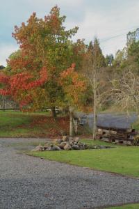 Tongariro Cottage - Hot Tub - Bring Your Dog! في Raurimu: كومة من الصخور بجانب شجرة ومقعد