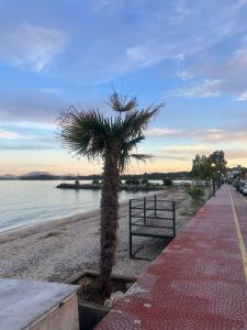 Φυσικό τοπίο κοντά σε αυτό το διαμέρισμα