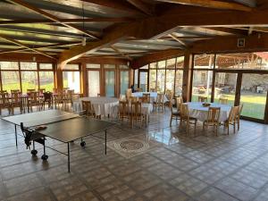 Πινγκ πονγκ στο Pension Nicoleta ή εκεί κοντά