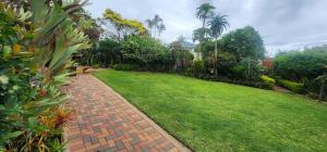 Zahrada ubytování 567 on Strelitzia - Shelly Beach