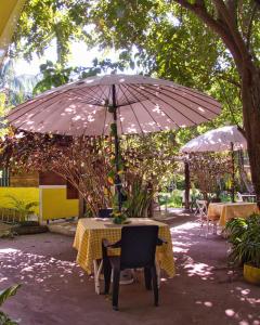 Zahrada ubytování Coco Encantado Eco Hostal Camping