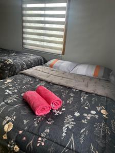 Giường trong phòng chung tại Hostal Verde Bendito Apartmento 1 Temuco +2 ảnh