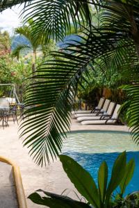 una piscina con tumbonas y una palmera en Encomendero Hotel -Centro Histórico-, en Santa Fe de Antioquia