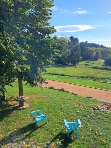 two blue benches sitting in the grass in a park at Chambres grand confort - Maison independante in Monistrol-sur-Loire