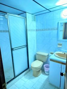 un bagno con wc, lavandino e doccia di Apartamento frente al parque infantil a Pasto Altre 2 foto