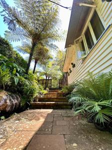 谭伯连山The Sculptors Cottage - Tamborine Mountain的房屋,有楼梯通往房子