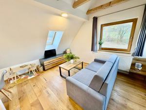 贝拉波德普拉德代姆Mezi vršky - rodinný apartmán Filipovice的客厅里有一张沙发和一台电视