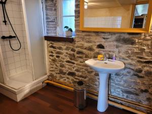 Un baño con lavabo y ducha en Lodge de La Vallée, en Saint-Rémy